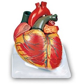 تصویر مولاژ قلب 6 قسمتی 