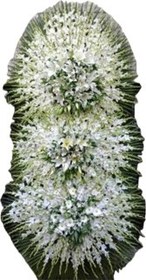 تصویر تاج گل ختم کد ۲۸ 