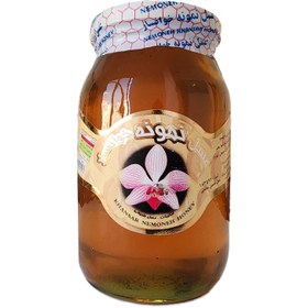 تصویر عسل نمونه خوانسار، مدل چهل گیاه 700 گرمی 40Giah Khansar Honey, 700g