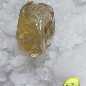 تصویر راف سیترین 