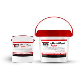 تصویر چسب کاشت میلگرد تیس (خمیر کاشت میلگرد ) Tiss AA1120 