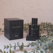 تصویر عطر ادکلن دیور ساواج (ساوج) الکسیر | - ۶۰ میل ا Dior Sauvage Elixir Dior Sauvage Elixir