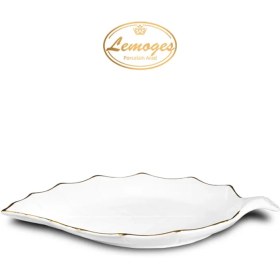 تصویر دیس برگ بزرگ 