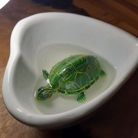تصویر لاکپشت سه بعدی رزین اپوکسی 