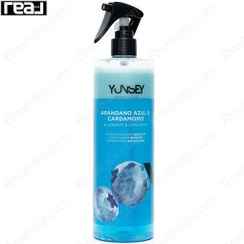 تصویر اسپری مو دوفاز حاوی عصاره بلوبری و هل یانسی Yunsey Blueberry Hair 2Phase Spray 500 ml