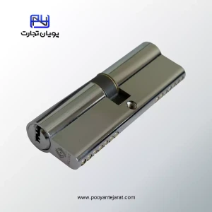 تصویر فروشگاه بازرگانی پویان تجارت