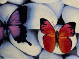 تصویر فرش کودک افرند طرح پروانه کد 124 