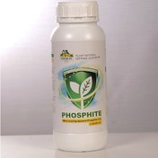 تصویر فسفیت پتاسیم (مایع) / فرمولایف PHOSPHITE