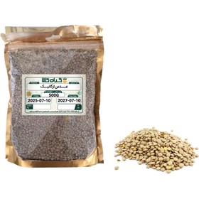 تصویر عدس ارگانیک 