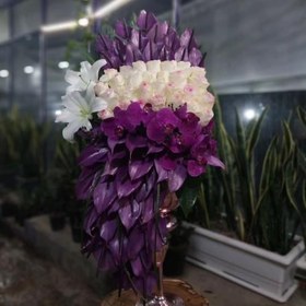 تصویر جام گل بله برون 808 