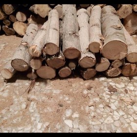 تصویر هیزم آتش زا ۱۰ کیلوگرمی 