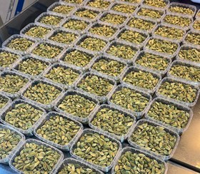 تصویر هل اکبربنفش 