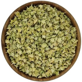 تصویر خارخاسک 