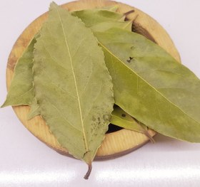 تصویر برگ بو 