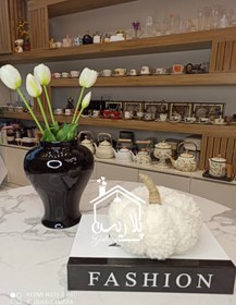 تصویر کدو تدی سفید 19068 