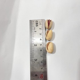 تصویر پسته احمد آقایی نمکی 