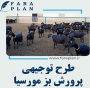 تصویر طرح توجیهی پرورش بز مورسیا به ظرفیت 150 راس 