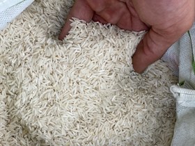 تصویر برنج پاکستانی غزال 