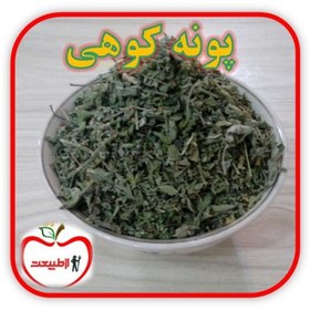 تصویر پونه کوهی اعلا – 250گرم 