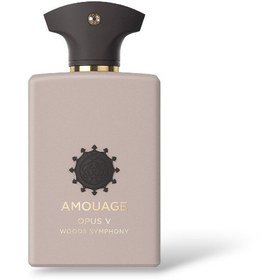 تصویر AMOUAGE - The Library Collection Opus V Woods Symphony 