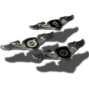 تصویر آرم بالدار 