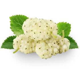 تصویر توت سفید 