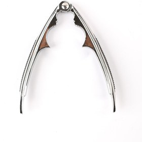 تصویر گردو شکن استیل 