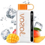 تصویر یک بار مصرف 12000 انبه یخ mexican mango ice