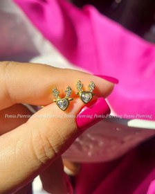 تصویر کله گوزن 