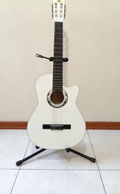 تصویر گیتار دیاموند Guitar Diamond