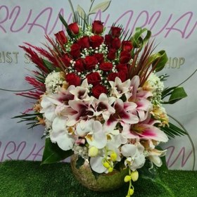 تصویر جام گل بله برون 738 