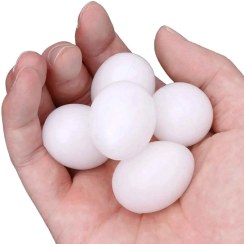 تصویر تخم مرغ پلاستیکی تزیینی بسته 10 عددی Plastic eggs