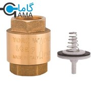 تصویر شیر یکطرفه یورک ایتالیا 