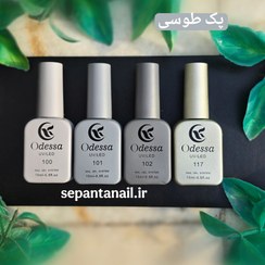 تصویر لاک ژل ادسا پک طوسی 