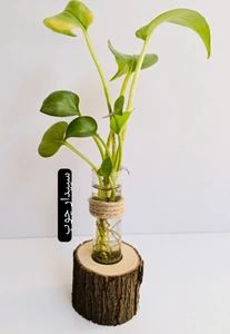 تصویر فروشگاه سپیدار چوب دات آی آر