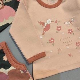 تصویر طرح لورنس 