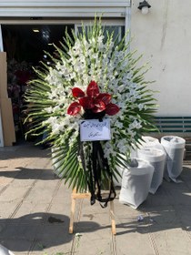 تصویر تاج گل کد PR14 