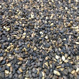 تصویر کنجد بوداده بی نمک500 گرم 