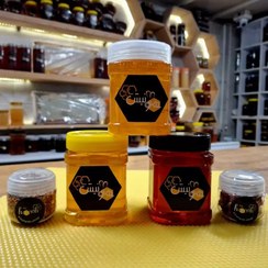 تصویر پک سه تایی عسل طبیعی (عسل کنار، عسل کوهی چهل گیاه، عسل گون) با ۲ هدیه 