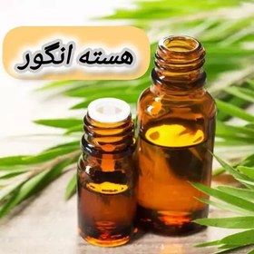 تصویر روغن هسته انگور خالص (60 گرمی) روغن کده آرامش 