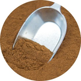 تصویر پودر دارچین 