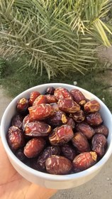 تصویر خرما بریمی 