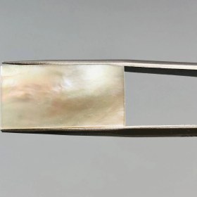 تصویر نگین صدف پرتلالو 251415 