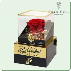 تصویر رز جاودان موزیکال آرزو 