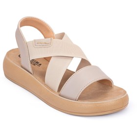 تصویر صندل آیلین استخوانی صندل آیلین استخوانی