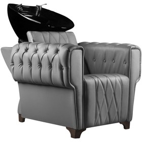 تصویر سرشور چستر مدل آرگو 