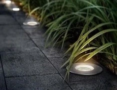 تصویر فروشگاه شب نور