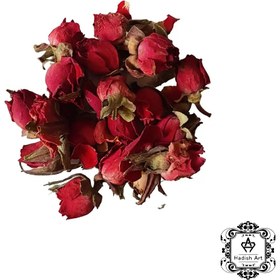 تصویر غنچه مینیاتوری سرخ 