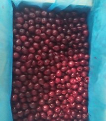 تصویر آلبالو سوزنی منجمد بسته هفت کیلویی - 7 کیلوگرم 