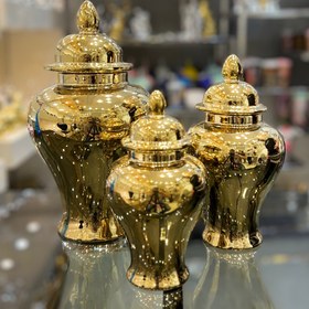 تصویر جینجرجار طلایی 